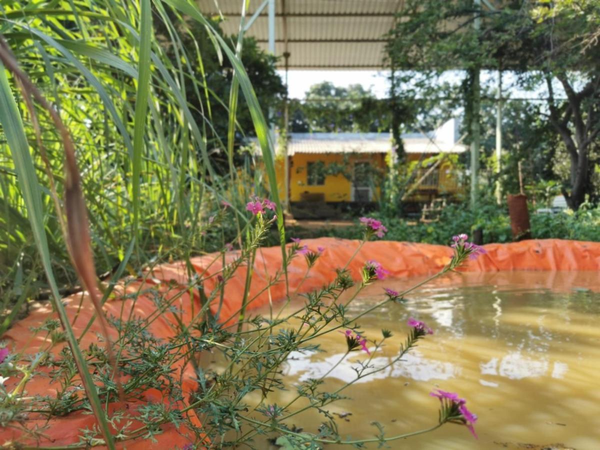 Hornbill Farm Resort Haidarábád Kültér fotó